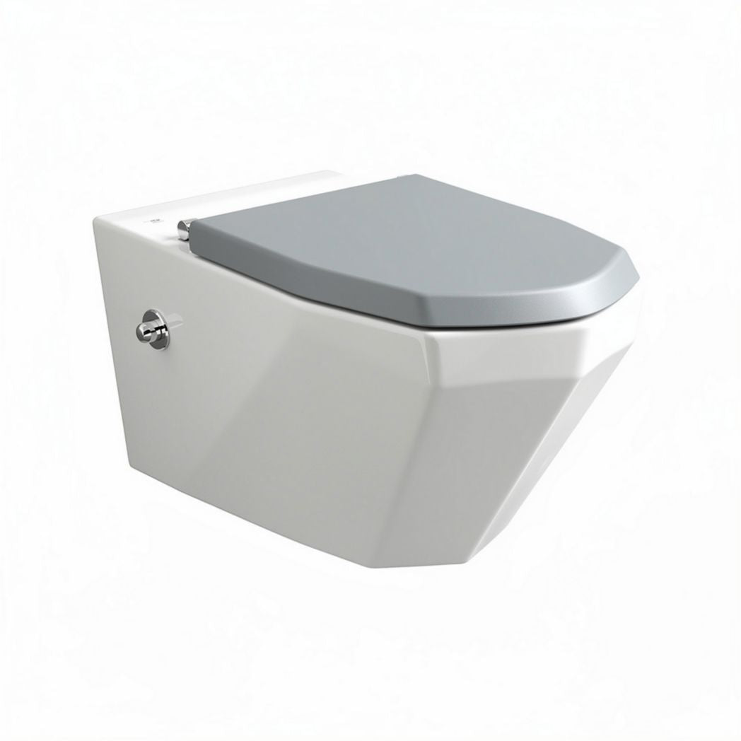Toilette suspendue en céramique blanche avec abattant gris 45 x 35 x 30cm
